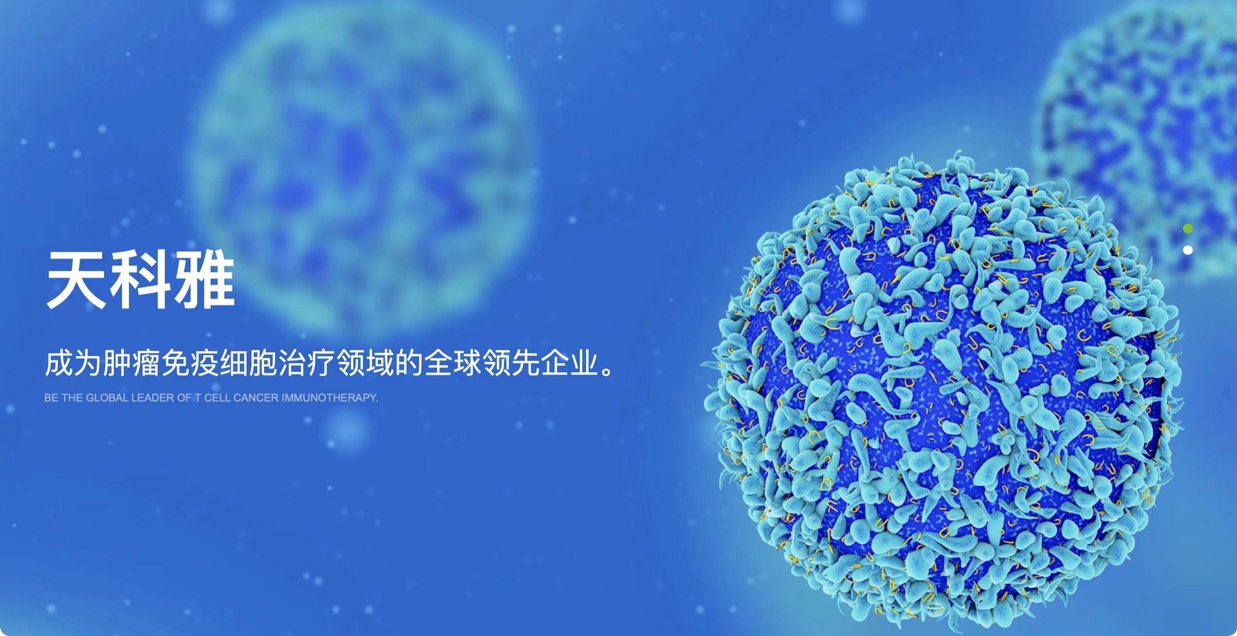 项目动态 ｜「天科雅」完成超3亿元新一轮融资，领跑免疫细胞药开发